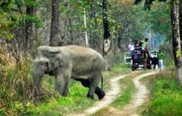 Ecstatic 7 Days KAZIRANGA - GUWAHATI - DEPARTURE to Kaziranga Trip Package