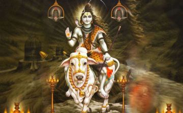 8 Days 7 Nights Dehradun Or Delhi To Haridwar Tour Package