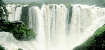 Ecstatic Jungle Activities Tour Package for 7 Days 6 Nights