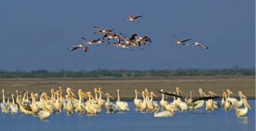 10 Days 9 Nights Arrive Guwahati Tour Package