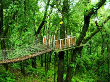 Memorable Pelling Tour Package for 8 Days 7 Nights from Bagdogra AirportNew Jalpaiguri Station Via Mirik