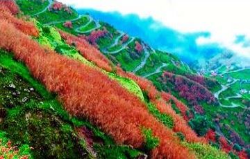 Pleasurable Pelling Tour Package for 8 Days 7 Nights