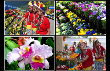 Pleasurable Pelling Tour Package for 8 Days 7 Nights