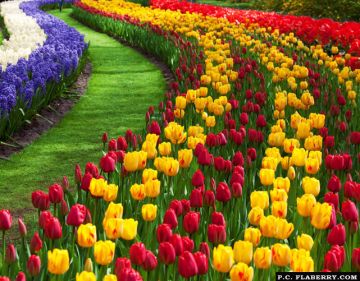 Pleasurable Pelling Tour Package for 8 Days 7 Nights