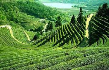 Memorable 9 Days Darjeeling, Darjeeling Sightseeing, Darjeeling Kalimpong with Gangtok Vacation Package