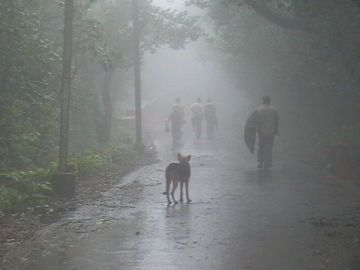 Amazing Back To Home Tour Package for 3 Days 2 Nights