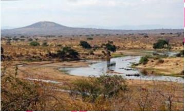 Ecstatic Full Game Drive In Ruaha National Park Tour Package for 5 Days from Mikumi Adventure Lodge To Dar Es Salaam