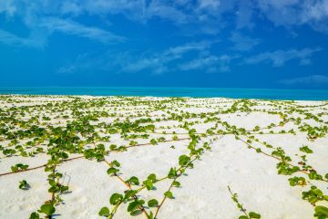 Best Arrival Second Island As Per Schedule Tour Package for 5 Days 4 Nights