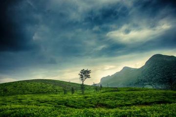 7 nights/8 days Kochi Munnar Madurai Rameshwaram Kanyakumari and Trivandrum for Family and Group