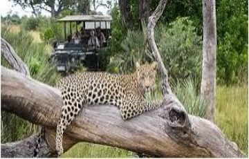 Magical Dar Es Salaam To Mikumi National Park Tour Package for 5 Days 4 Nights from Mikumi Adventure Lodge To Dar Es Salaam
