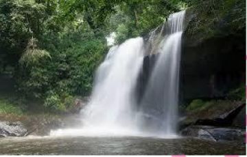 Magical Dar Es Salaam To Mikumi National Park Tour Package for 5 Days 4 Nights from Mikumi Adventure Lodge To Dar Es Salaam