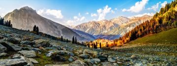Experience 5 Days 4 Nights Srinagar with Gulmarg Trip Package