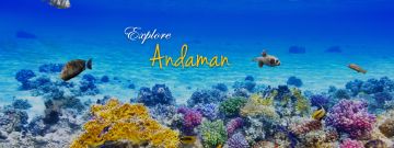 Best 6 Days 5 Nights Portblair, Havelock Island with Neil Island Trip Package