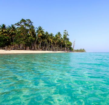 Best 6 Days 5 Nights Portblair, Havelock Island with Neil Island Trip Package