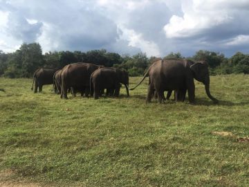 Memorable Colombo Tour Package from Colombo, Sri Lanka