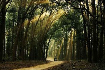 Best 4 Days 3 Nights Nainital, Nanital and Corbett Holiday Package