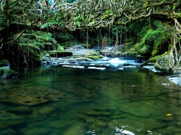 Ecstatic 5 Days 4 Nights Cherrapunjee Holiday Package