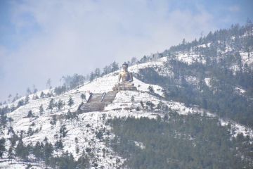 Beautiful 5 Days Hasimara Njp Alipure Vacation Package