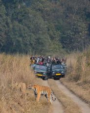 Beautiful 2 Days Sawai Madhopur Trip Package Beautiful 2 Days Sawai Madhopur Trip Package