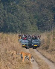 Beautiful 2 Days Sawai Madhopur Trip Package