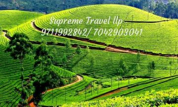Beautiful Day 01 - Cochin - Munnar Tour Package from Cochin
