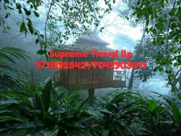 Beautiful Day 01 - Cochin - Munnar Tour Package from Cochin