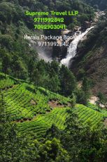 Beautiful Day 01 - Cochin - Munnar Tour Package from Cochin