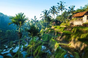 Pleasurable 6 Days Arrival In Bali with Bali Vacation Package