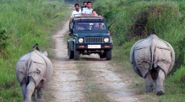 Heart-warming 4 Days 3 Nights Kaziranga Holiday Package