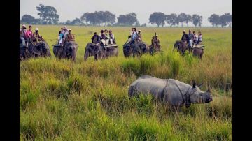 Heart-warming 4 Days 3 Nights Kaziranga Holiday Package