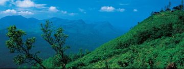 8 nights/9 days Wayanad with Mysore Ooty and Beautiful Coorg