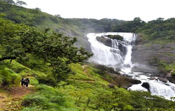 8 nights/9 days Wayanad with Mysore Ooty and Beautiful Coorg