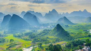 Amazing 3 Days 2 Nights Cochin To Munnar tea Garden  Hill Station, Munnar Sightseeing and Cochin departure Vacation Package