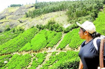 Amazing 3 Days 2 Nights Cochin To Munnar tea Garden  Hill Station, Munnar Sightseeing and Cochin departure Vacation Package