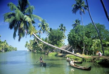 Memorable Munnar Sightseeing Tour Package for 7 Days from TRIVANDRUM DEPARTURE