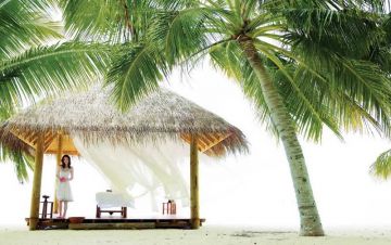 Amazing Cochin To Munnar tea Garden  Hill Station Tour Package from  TRIVANDRUM DEPARTURE