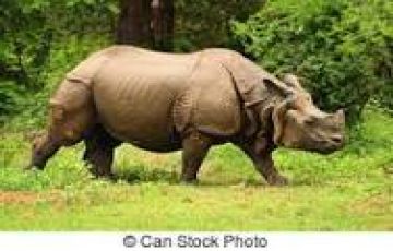 Family Getaway 6 Days Guwahati to Kaziranga Trip Package