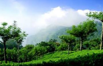 Pleasurable 8 Days Mangaluru to Bandipur Trip Package