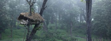 Magical Wayanad Sightseeing Tour Package for 4 Days from WAYANAD TO CALICUT