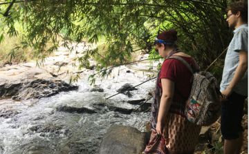 Magical Wayanad Sightseeing Tour Package for 4 Days from WAYANAD TO CALICUT