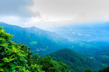 Magical Wayanad Sightseeing Tour Package for 4 Days from WAYANAD TO CALICUT