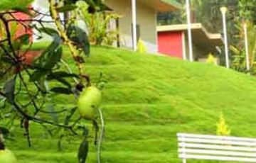 Magical Wayanad Sightseeing Tour Package for 4 Days from WAYANAD TO CALICUT