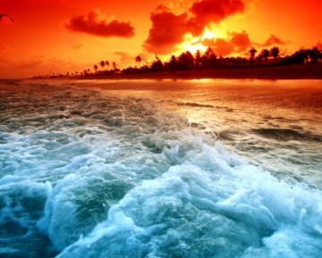 Heart-warming North Goa Tour Package for 4 Days