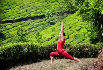 Family Getaway Cochin To Munnar tea Garden  Hill Station Tour Package from COCHIN DEPARTURE