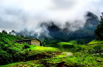 Family Getaway Cochin To Munnar tea Garden  Hill Station Tour Package from COCHIN DEPARTURE