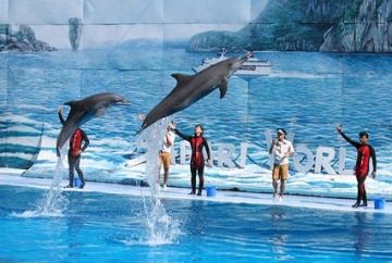 11 Days 10 Nights Kuala Lumpur Tour Package