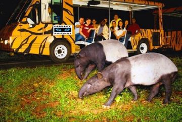 Beautiful 7 Days 6 Nights Singapore with Phuket Trip Package