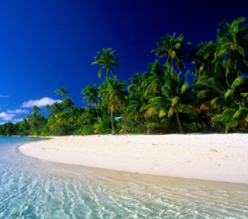 Experience 3 Days 2 Nights South Goa Trip Package