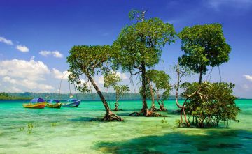 Experience 5 Days Port Blair to Neil Island Tour Package