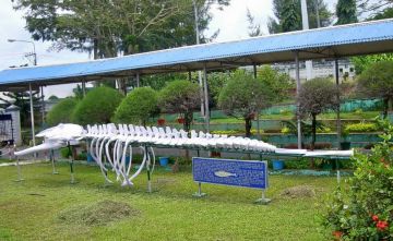 Experience 5 Days Port Blair to Neil Island Tour Package